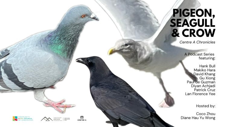 Podcast: Pigeon, Seagull & Crow: Centre A Chronicles