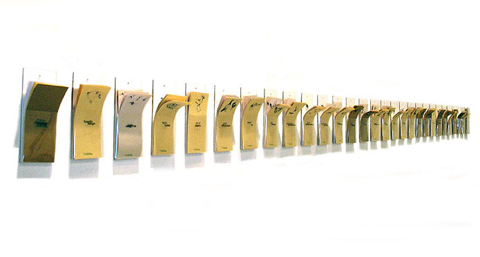 Haruko Okano's Homing Pidgin Workshop