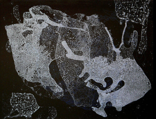 Ed Pien: Tracing Water