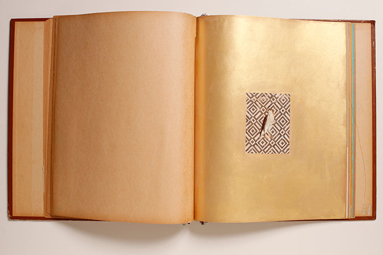 "Minutes from a Second Story" | Panel Discussion