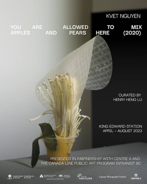 Capture Public Art 2023: Kvet Nguyen