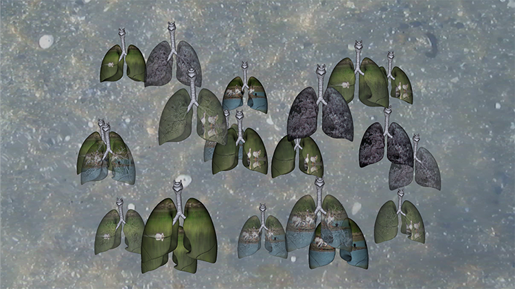 "A Chorus of Lungs" | Artist Talk with Leila Sujir and Maria Lantin