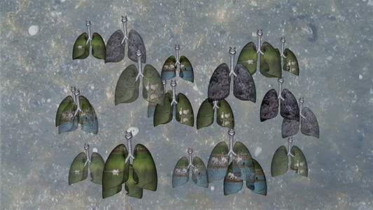 "A Chorus of Lungs" | Artist Talk with Leila Sujir and Maria Lantin
