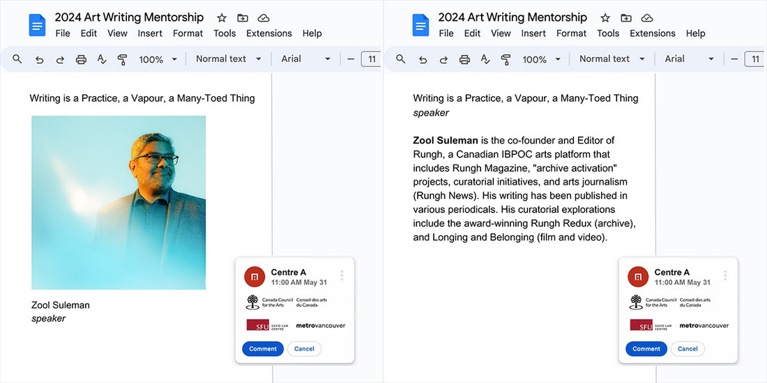 Zool Suleman - Notability: Contemporary Canadian South Asian cultural histories and notations