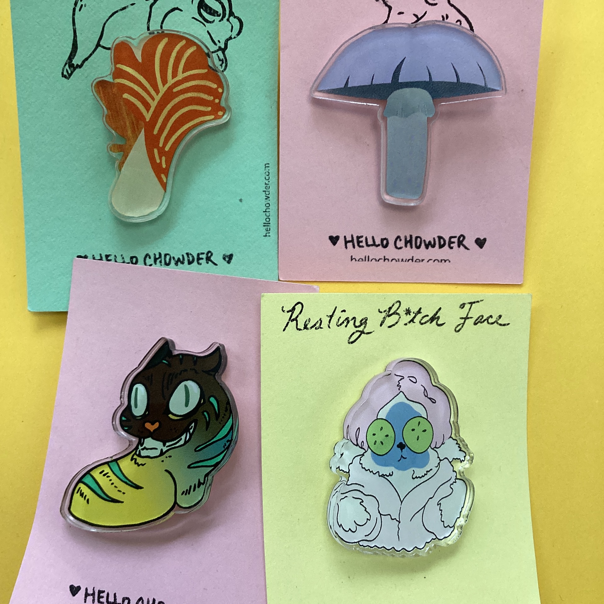 Assorted Pins
